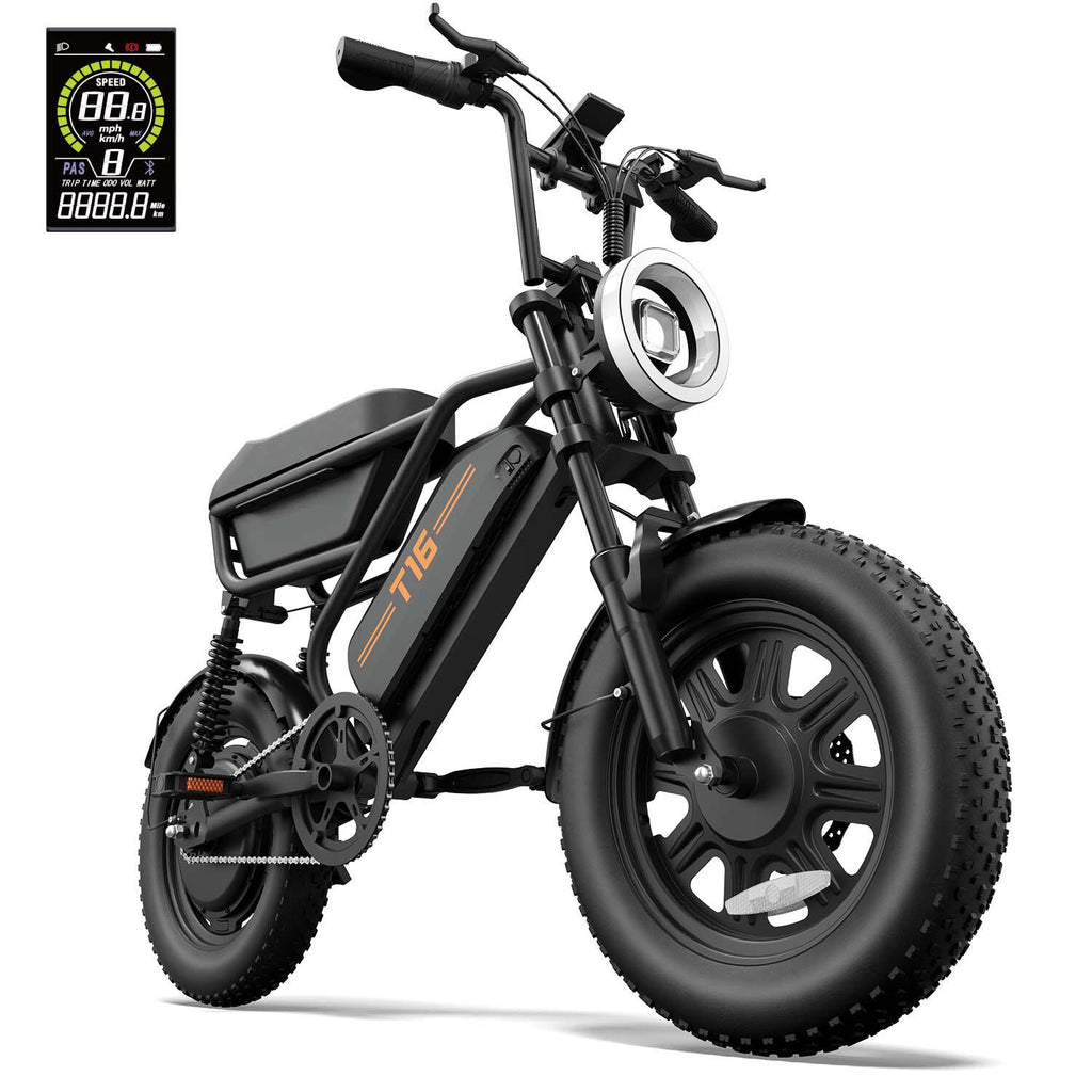 URLIFE T16 Elektrofahrrad Fatbike Vollfederung 16 Zoll